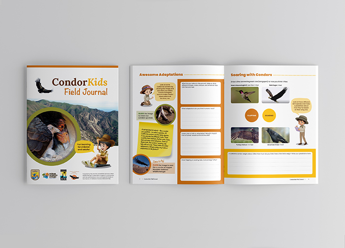 3rd Grade Condor Field Journal